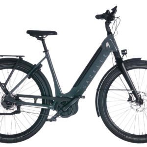 Gazelle Ultimate C5 HMB 625 Wh Damen grau 2024