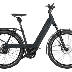 Riese & Müller Nevo4 GT rohloff 750Wh grau