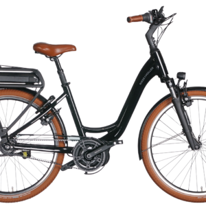 Riese & Müller Swing4 Rücktritt 500 Wh Damen schwarz