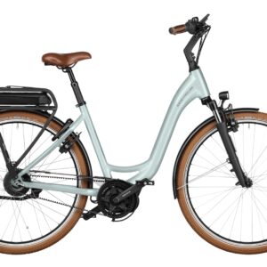 Riese & Müller Swing4 vario 500 Wh grün