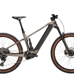 Bulls Sonic AM 3 29'' 800 Wh grau 2025