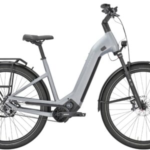 Pegasus Estremo EVO 12 lite 700 Wh Damen grau 2025