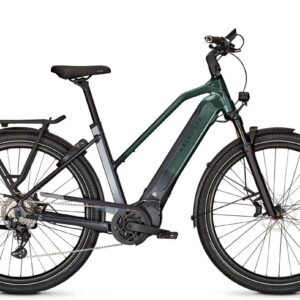 Kalkhoff Endeavour 5.B Advance+ LTD 625 Wh Damen Trapez grün