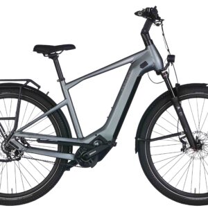 Pegasus Estremo Evo 12 lite 700 Wh Herren grau 2025