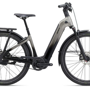 Giant AnyTour E+ 0 Space/Grey 2024 28" 800 Wh Wave