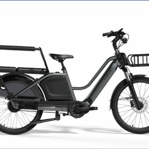 Tenways Longtail Duo 720 Wh grau 2025