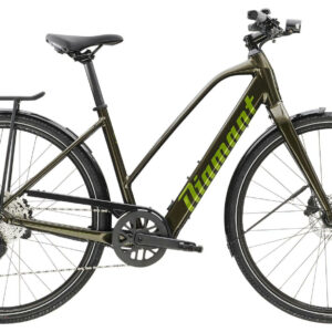 Diamant 365 Deluxe Oxidgrün Metallic 28" 250 Wh Trapez