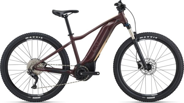 Liv Tempt E+ 1 - 2022 - S