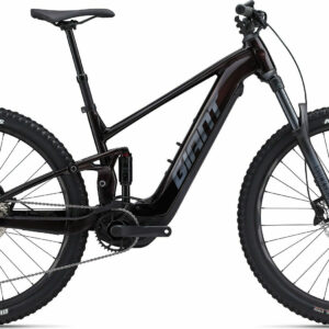 Giant Stance E+ Pro 1 Cordovan 2023 29" 800 Wh Diamant