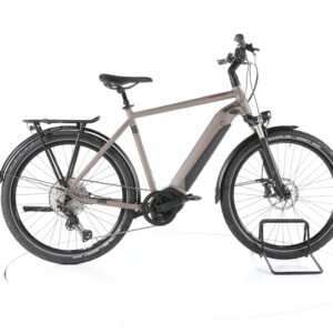 Winora Sinus iX12 2021