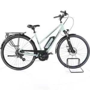 Triumph e-bird 300 2021