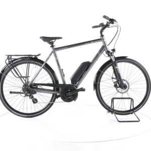 Triumph E-Bird Ultra 400 2021
