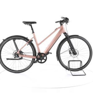 Riese & Müller UBN Seven silent 2021