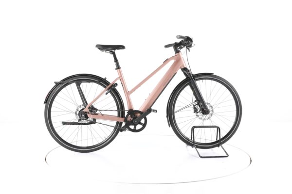 Riese & Müller UBN Seven silent 2021
