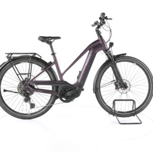 Pegasus Premio EVO 11 "40 Years" 2022