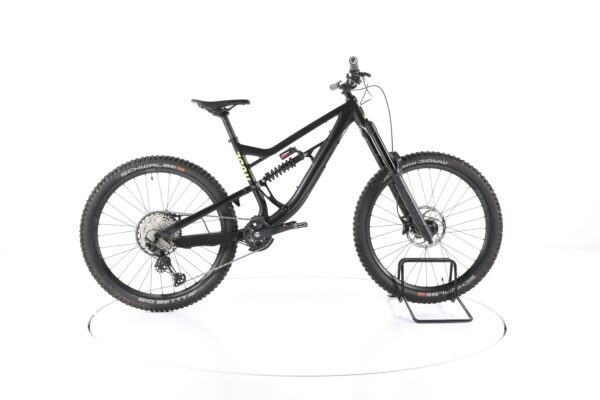 Rose Soul Fire 2 2022