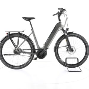 Raleigh Bristol XXL 2022