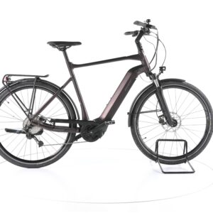 Giant Any Tour E+3 GTS 2022
