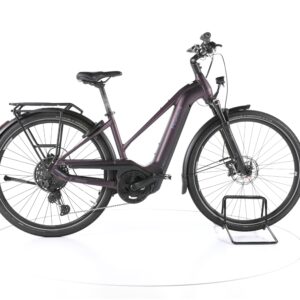 Pegasus Premio Evo 11 "40 Years" 2023