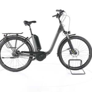 Raleigh KINGSTON 8 XXL 2022