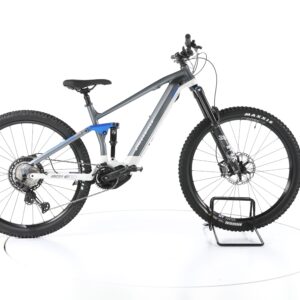 BärenBikes Grizzly E 9.2 2022