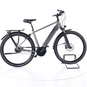 Raleigh Bristol XXL 2021