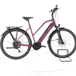 Raleigh Kent 9 2022