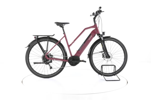 Raleigh Kent 9 2022