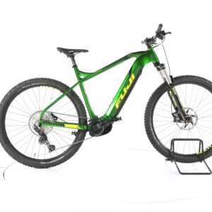 Fuji E-Ambient Evo 2022