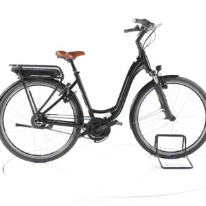 Riese & Müller Swing Vario 2022
