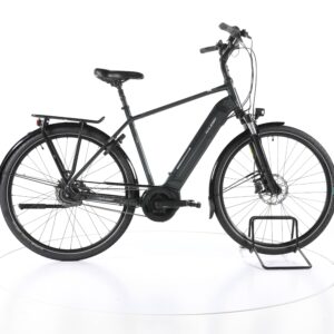 Raleigh Bristol 8 2021