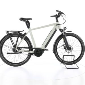 Winora Sinus N5f eco 2022