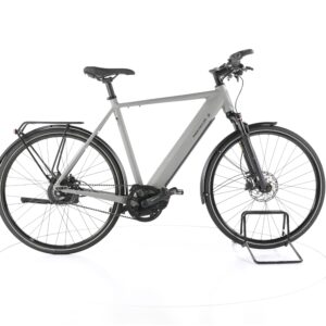 Riese & Müller Roadster vario 2022
