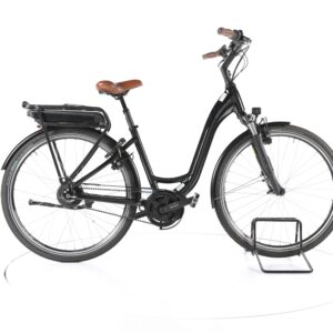 Riese & Müller Swing Vario 2021