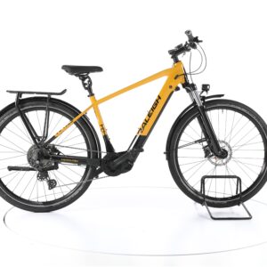 Raleigh Dundee 10 2022