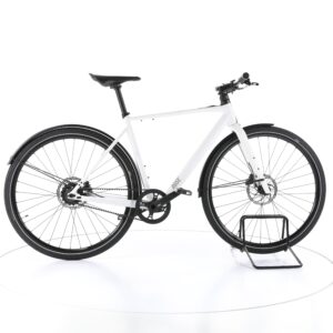 Rose Sneak Plus EQ 2022