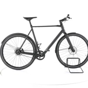 Rose Sneak Plus EQ 2021