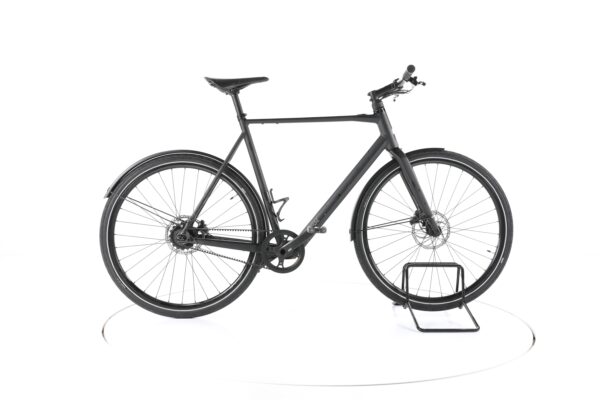Rose Sneak Plus EQ 2021