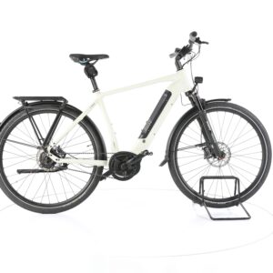 Rose XTRA WATT EVO+ 4 2021