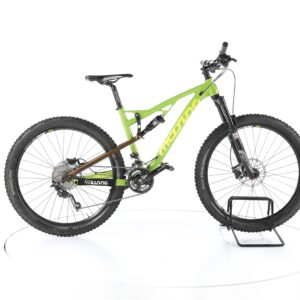 Müsing Petrol 2 2020