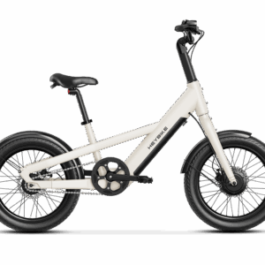 Heybike EC Compact City