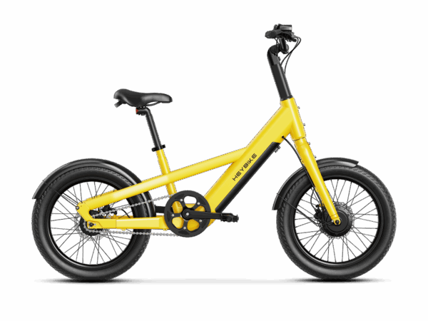 Heybike EC Compact City