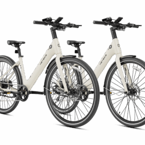 Heybike EC 1-ST Combo