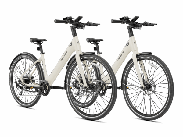 Heybike EC 1-ST Combo