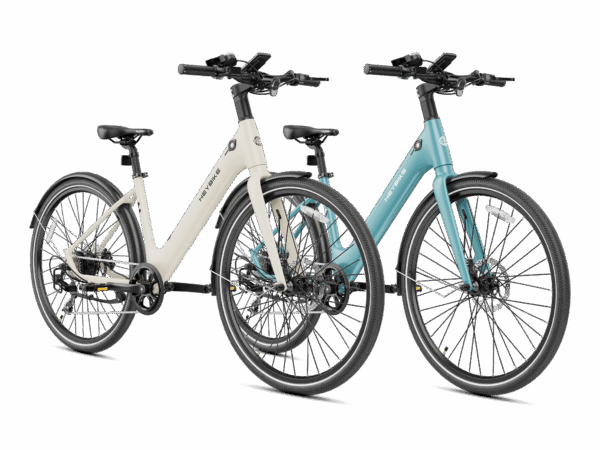 Heybike EC 1-ST Combo