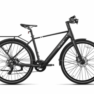 Heybike EC 1 Standard