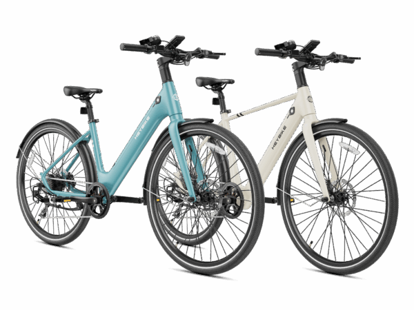 Heybike EC 1 & EC 1-ST Combo
