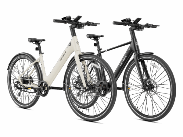 Heybike EC 1 & EC 1-ST Combo