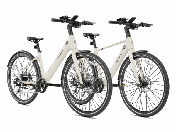 Heybike EC 1 & EC 1-ST Combo