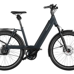 Riese & Müller Nevo4 GT Vario 26'' Comf Kit 625 Wh grau